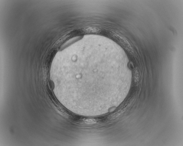 X0000115780409200912041455