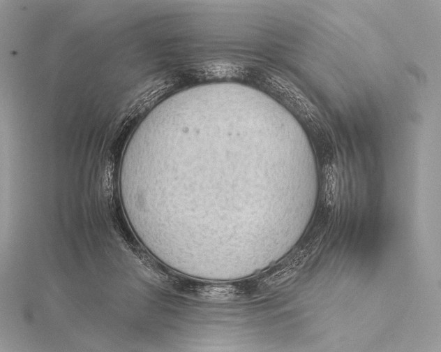 X0000115780410200912041455