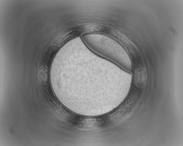 X0000115780413200912041455