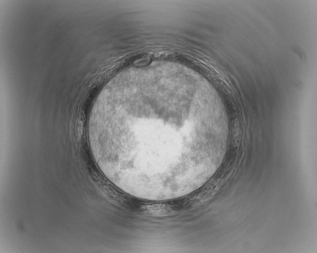 X0000115780417200912041455