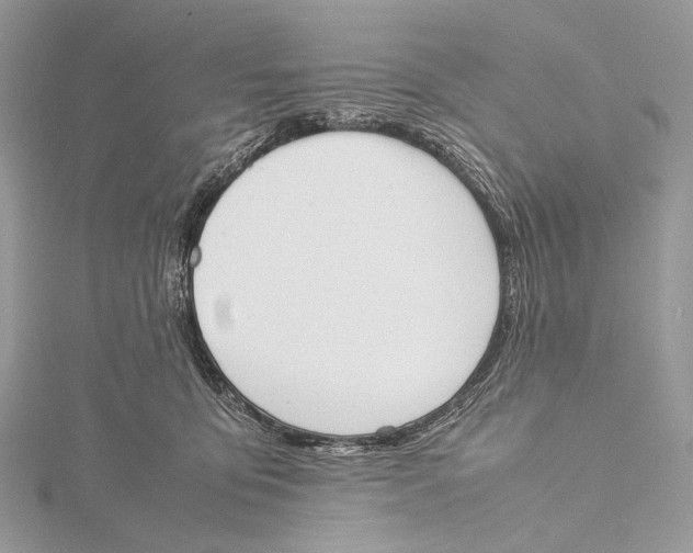 X0000115780419200912041455