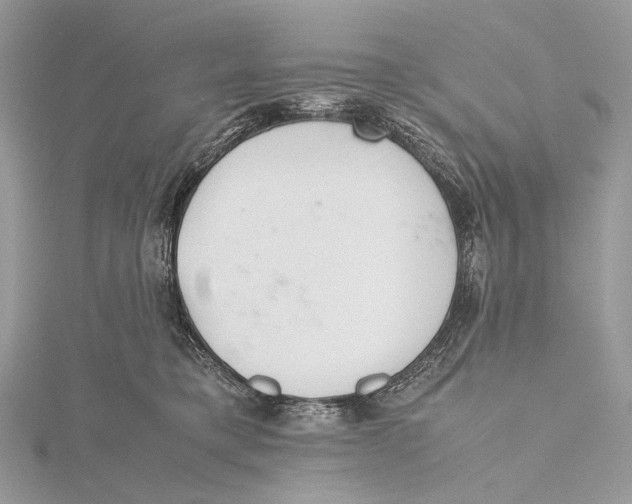 X0000115780421200912041455