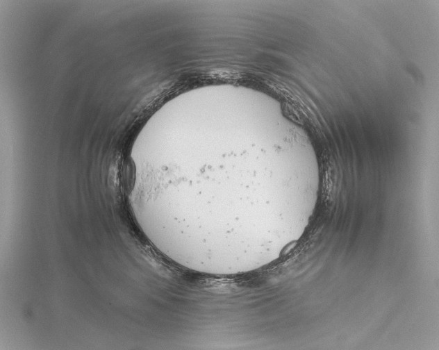 X0000115780424200912041455