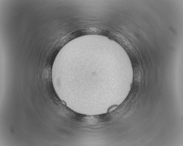 X0000115780425200912041455