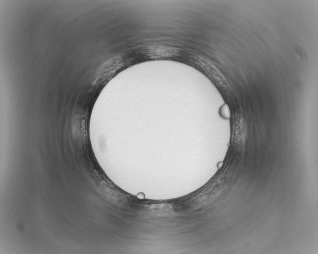 X0000115780426200912041455