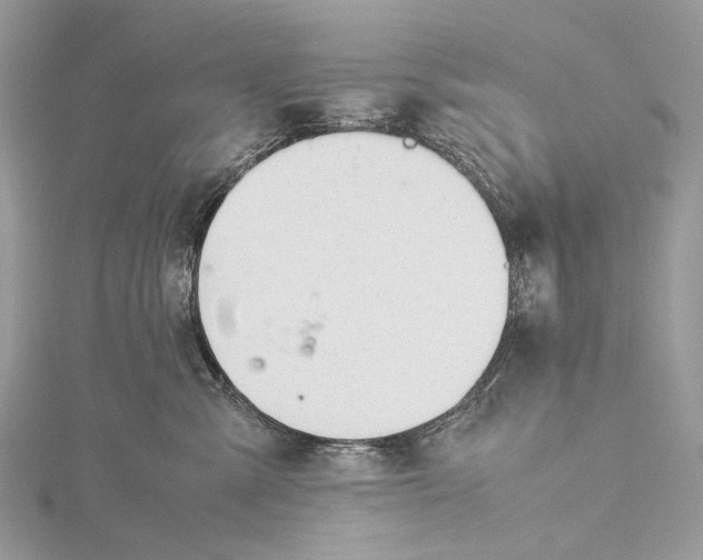 X0000115780427200912041455