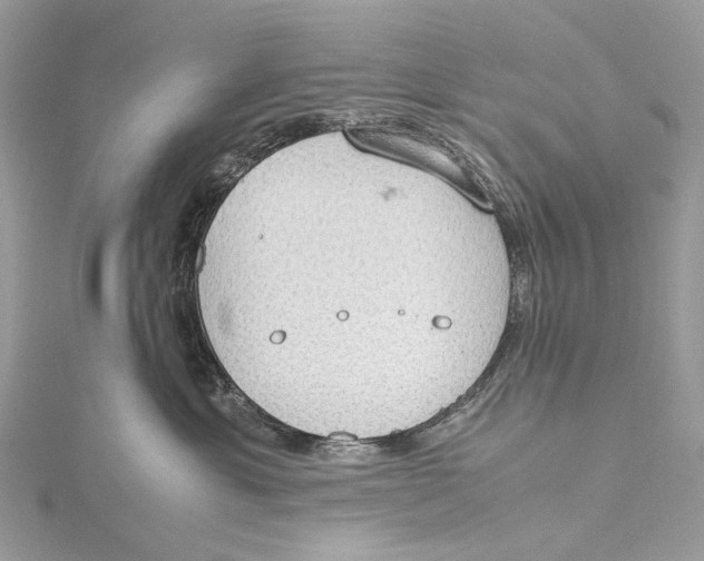 X0000115780429200912041455