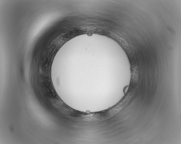 X0000115780430200912041455