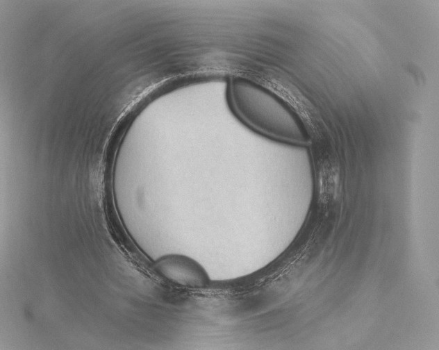 X0000115780436200912041454