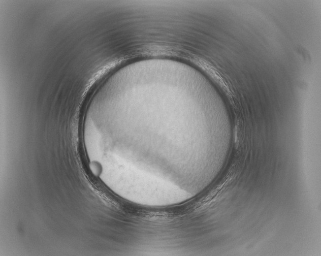 X0000115780438200912041455