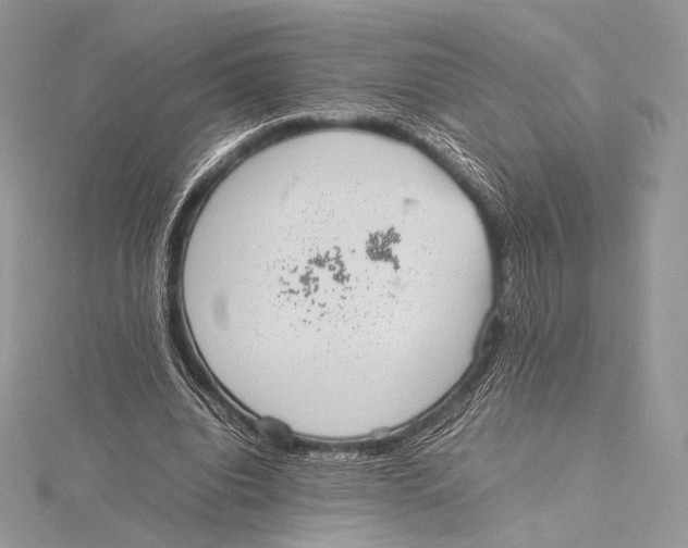 X0000115780440200912041455