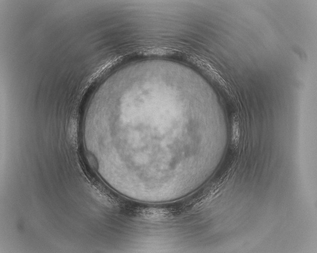 X0000115780444200912041455