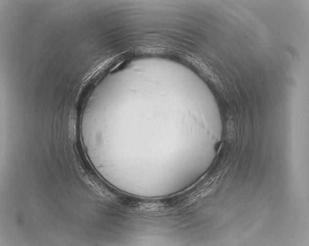 X0000115780446200912041455