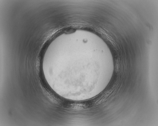 X0000115780448200912041455