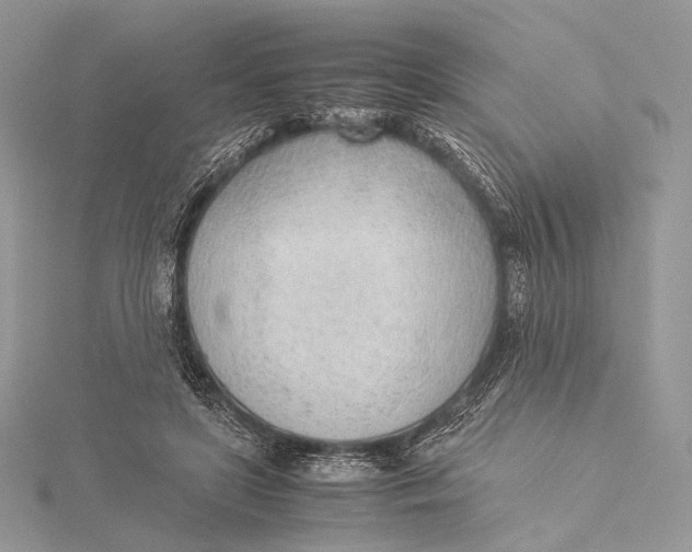 X0000115780451200912041455