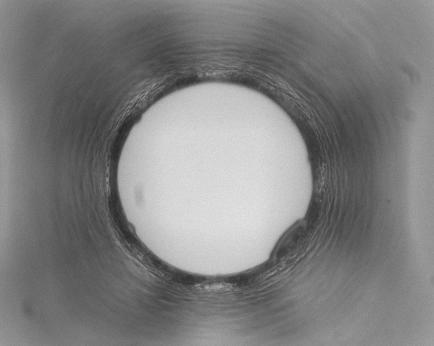 X0000115780452200912041455