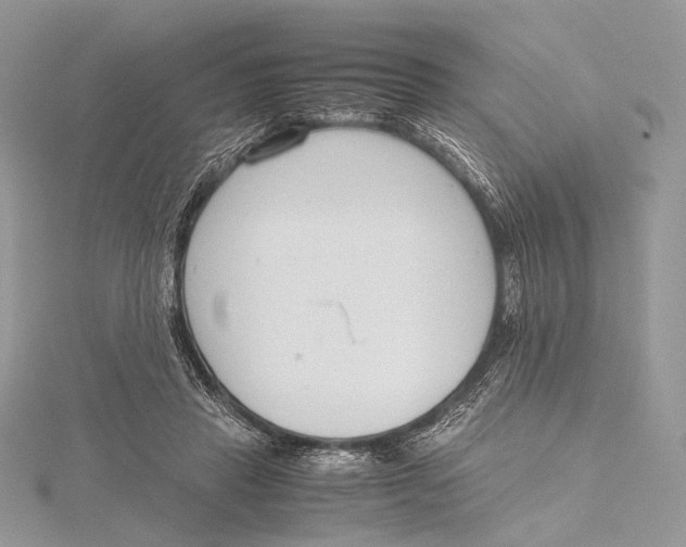 X0000115780453200912041455