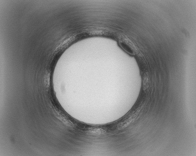 X0000115780454200912041455