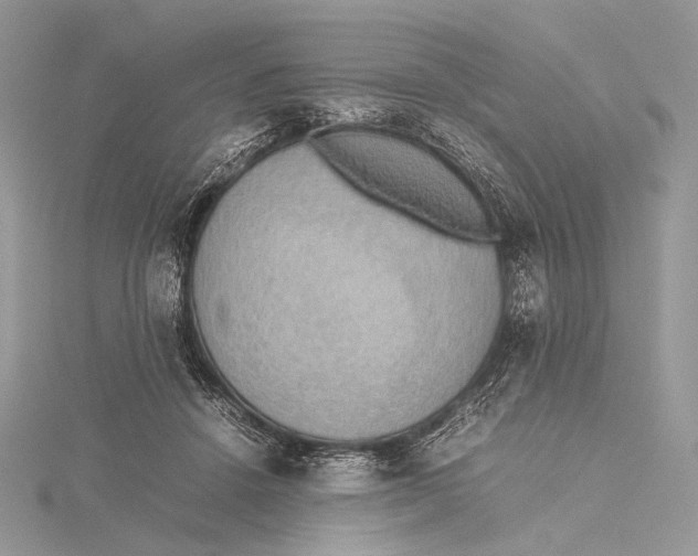 X0000115780456200912041455