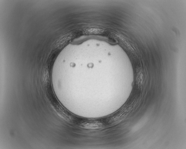 X0000115780459200912041455