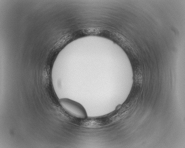 X0000115780460200912041455