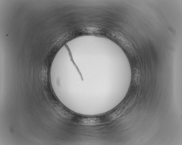 X0000115780461200912041455