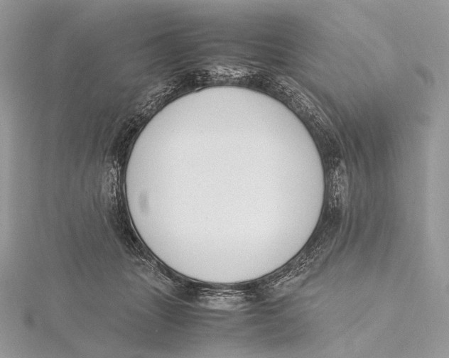 X0000115780463200912041455