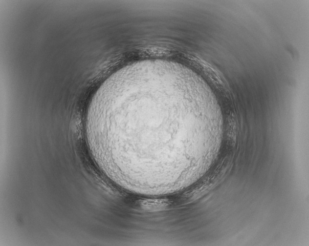 X0000115780465200912041455