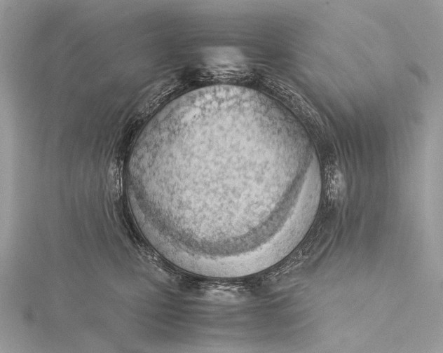 X0000115780471200912041455