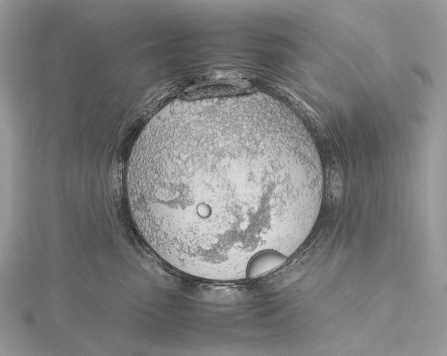 X0000115780475200912041455