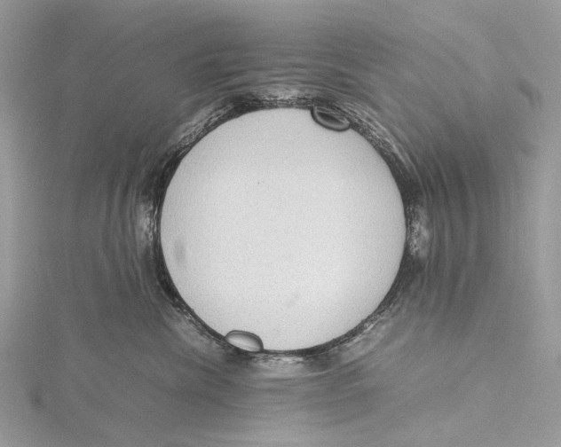 X0000115780476200912041455