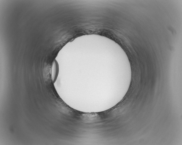 X0000115780480200912041455