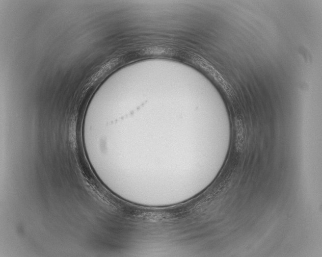 X0000115780482200912041454