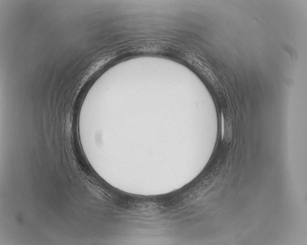 X0000115780483200912041454