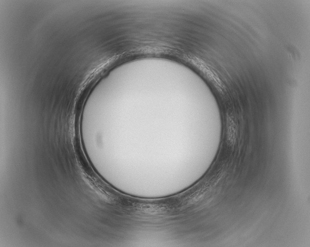 X0000115780486200912041454