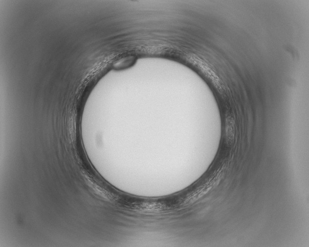 X0000115780493200912041454