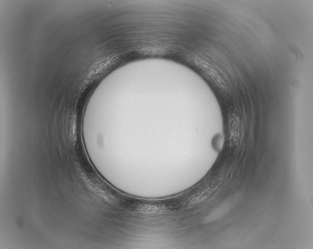 X0000115780494200912041454