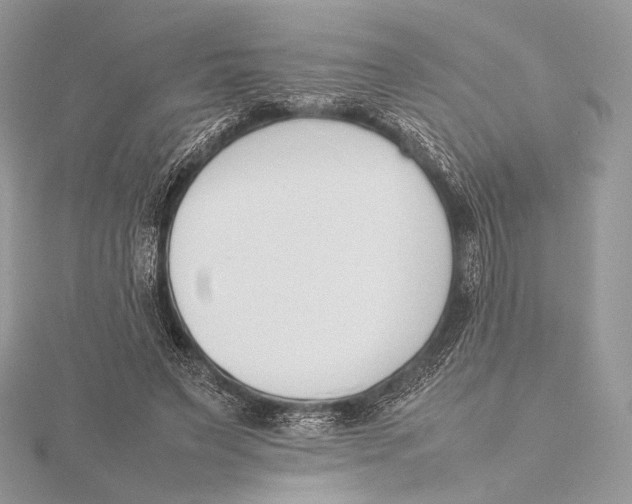 X0000115780495200912041454