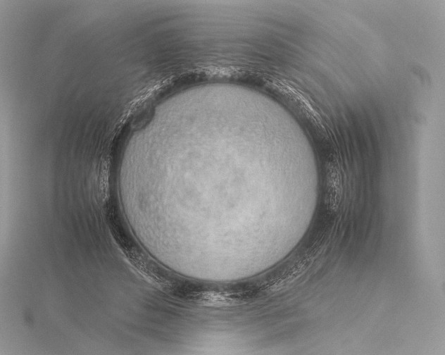 X0000115780496200912041454