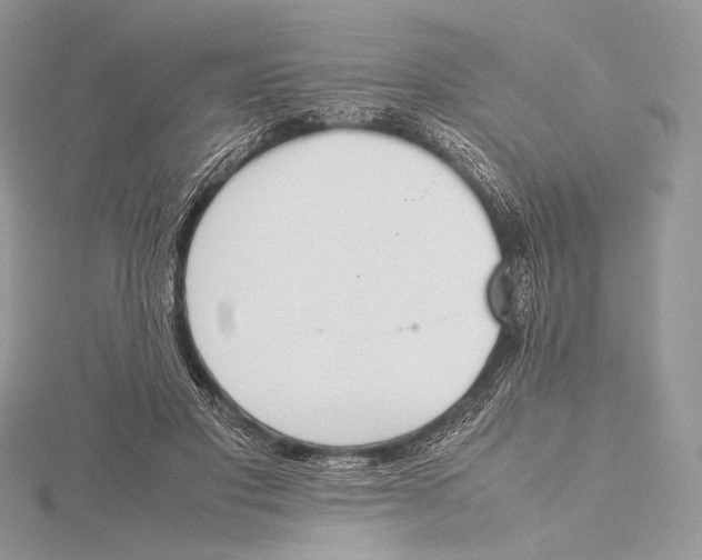 X0000115780501200912041454