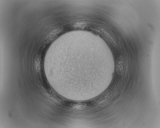 X0000115780504200912041454