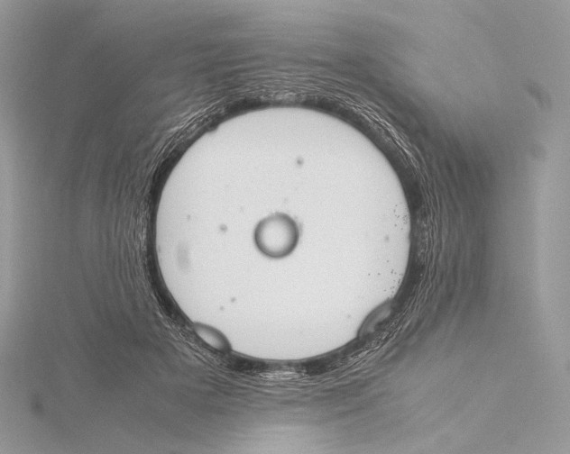 X0000115780505200912041454