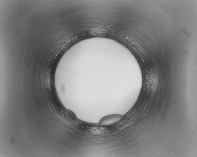 X0000115780508200912041454