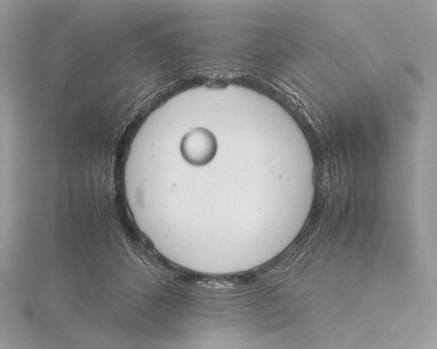 X0000115780512200912041454