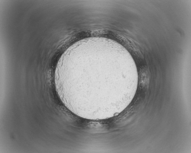 X0000115780519200912041454