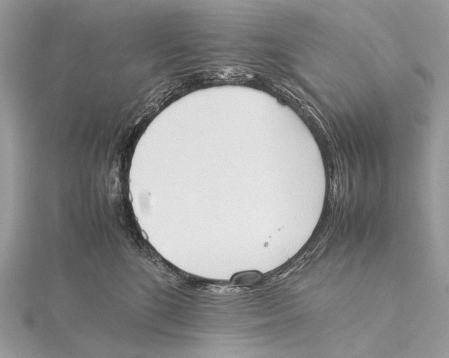 X0000115780520200912041454