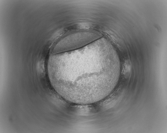 X0000115780524200912041454