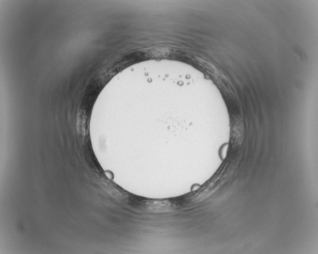 X0000115780525200912041454