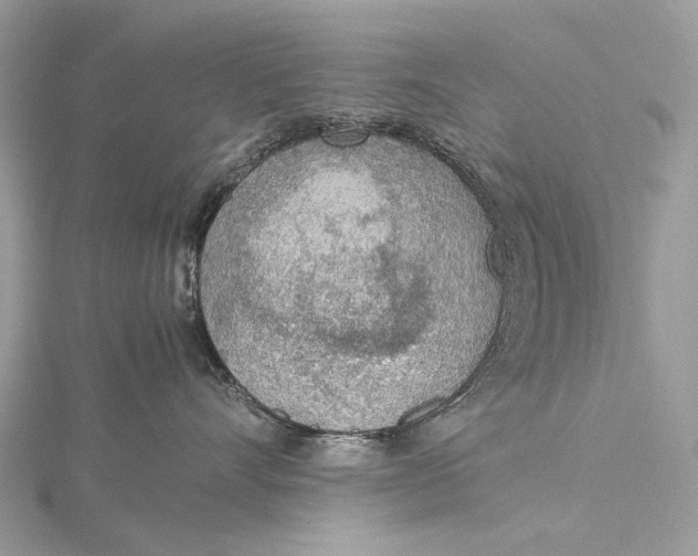 X0000115780528200912041454