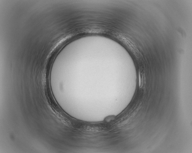 X0000115780531200912041453